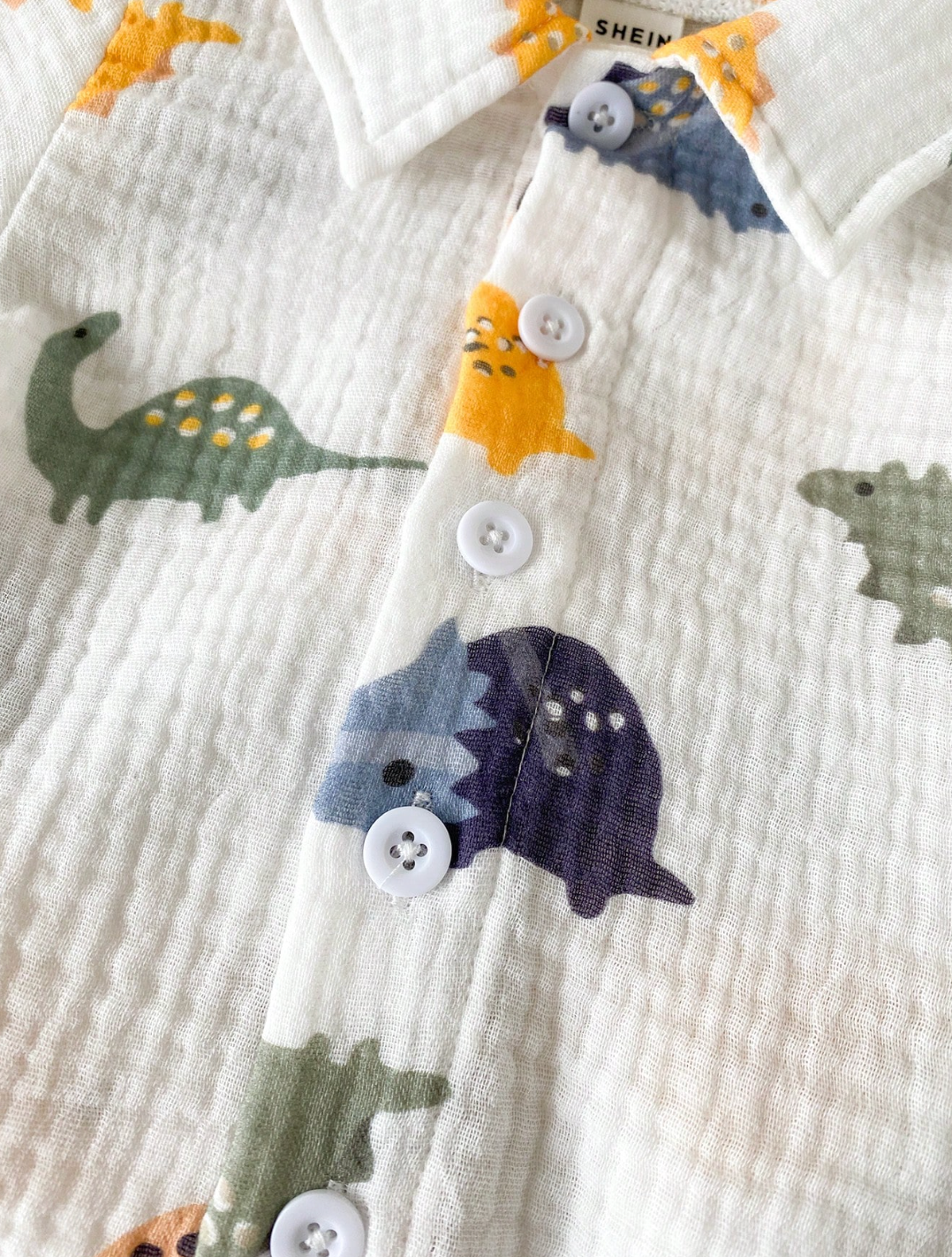 Conjunto Rumi 🦕