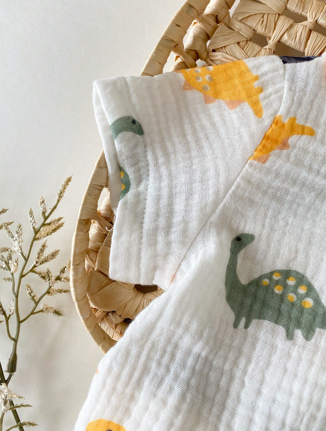 Conjunto Rumi 🦕
