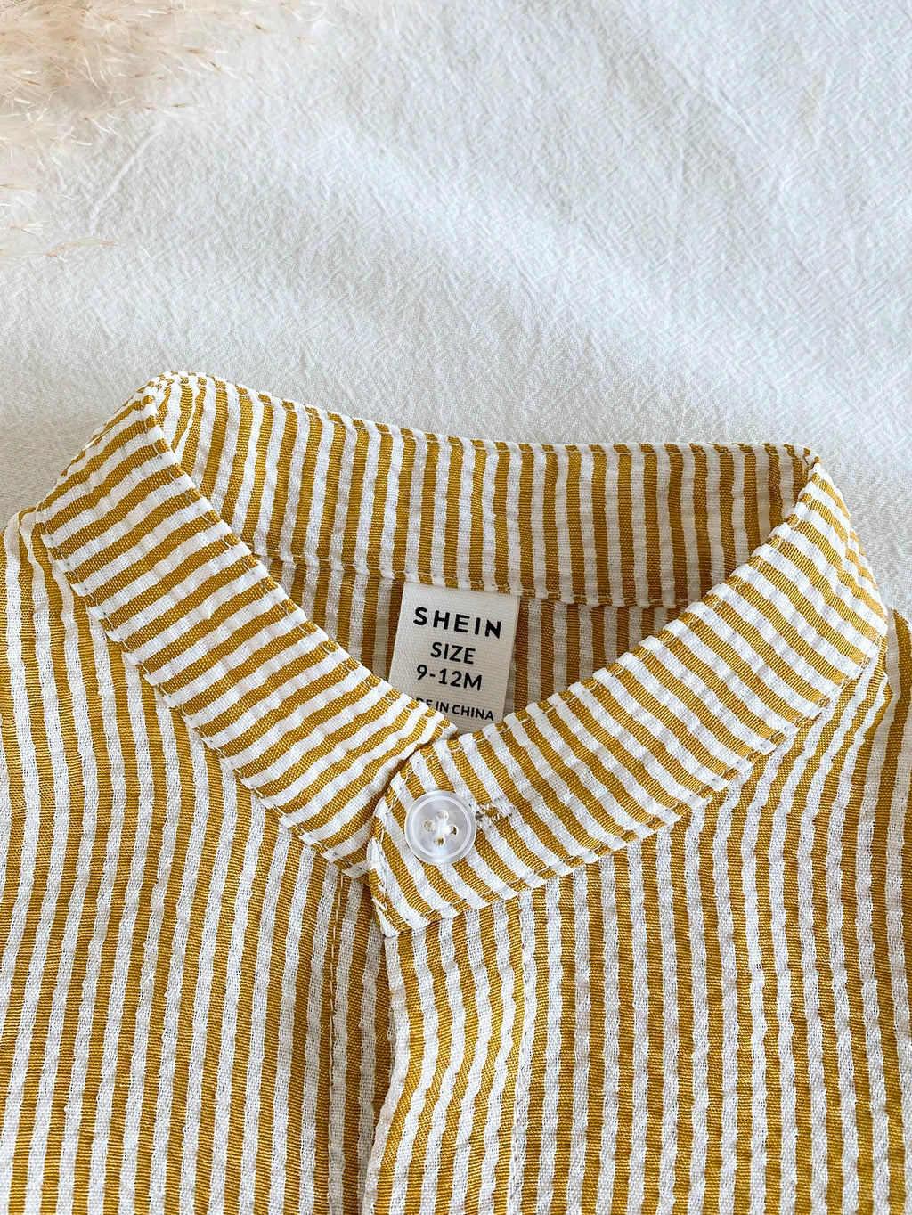 Conjunto Lorenzo 📒